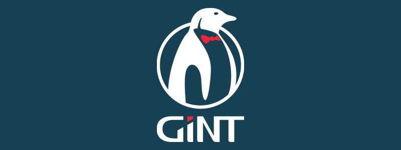 GINT GINT